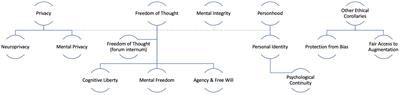 On Neurorights